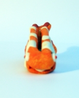 https://mail.branjofarms.com/files/gimgs/th-22_22_clownfish4cardholder.jpg