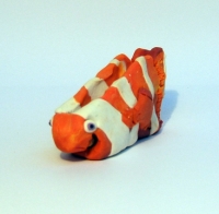 https://mail.branjofarms.com/files/gimgs/th-22_22_clownfish5cardholder.jpg