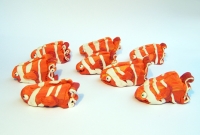 https://mail.branjofarms.com/files/gimgs/th-22_22_clownfishgroup6cardholder.jpg