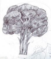 https://mail.branjofarms.com/files/gimgs/th-45_45_broccolisketch.jpg