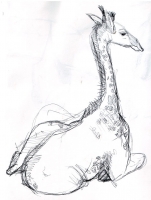 https://mail.branjofarms.com/files/gimgs/th-45_45_giraffesketch2.jpg