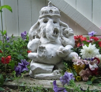 https://mail.branjofarms.com/files/gimgs/th-5_5_ganesha.jpg