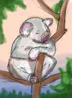 https://mail.branjofarms.com/files/gimgs/th-65_65_koala3color.jpg